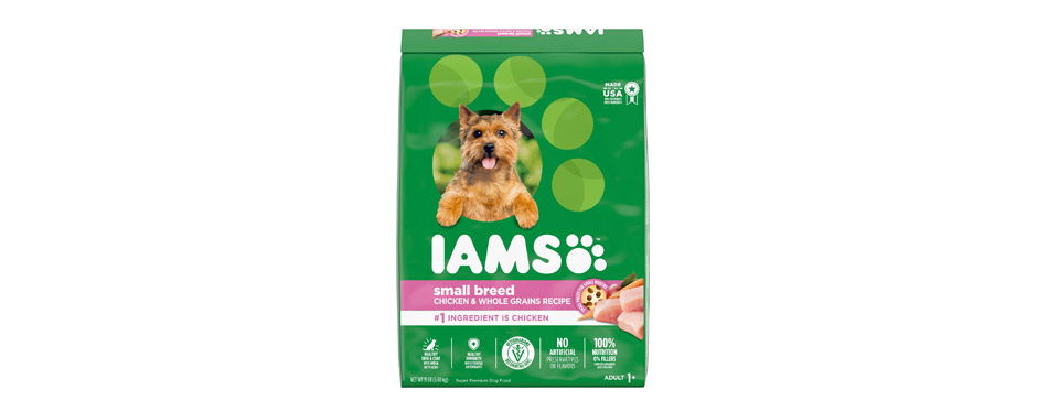 Best for Small Breeds: Iams ProActive Health Minichunks Adult Dry Dog Food