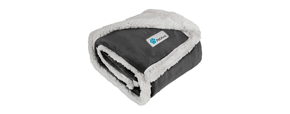 Budget Pick: PetAmi Lightweight Warm Cover