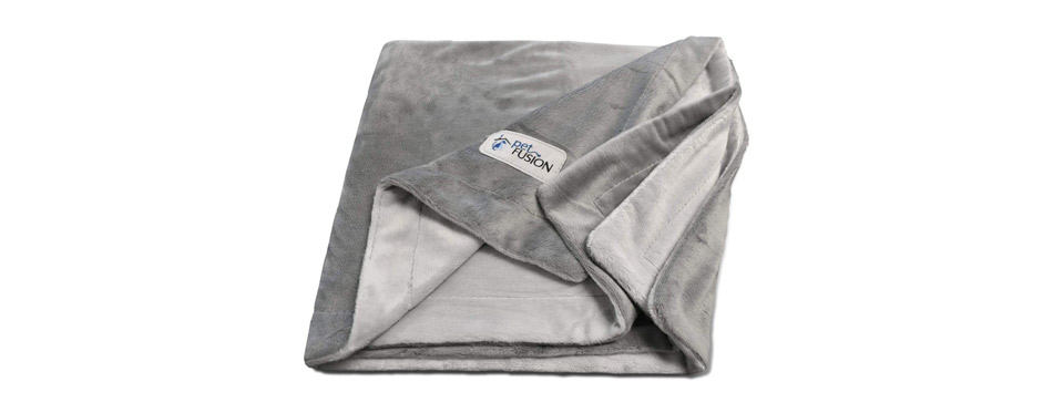 Best for Kittens: PetFusion Premium Cat Blanket