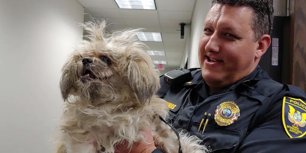 Police-May-Charge-The-Owner-of-a-Dog-Abandoned-at-Tampa-International-Airport
