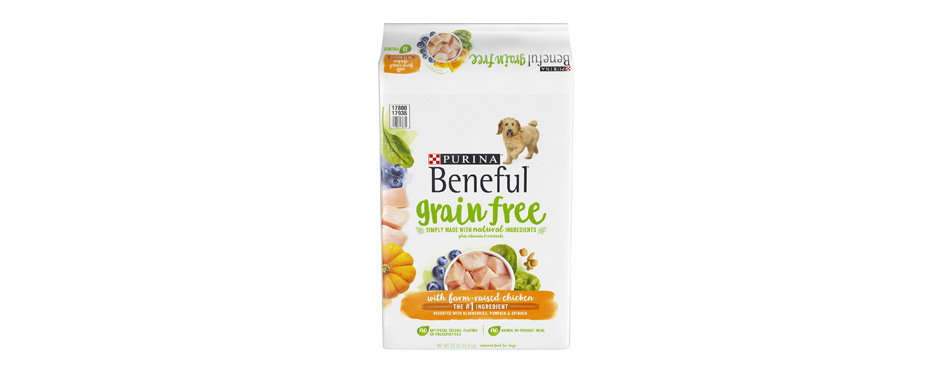 Purina Beneful Grain Free Dry Dog Food