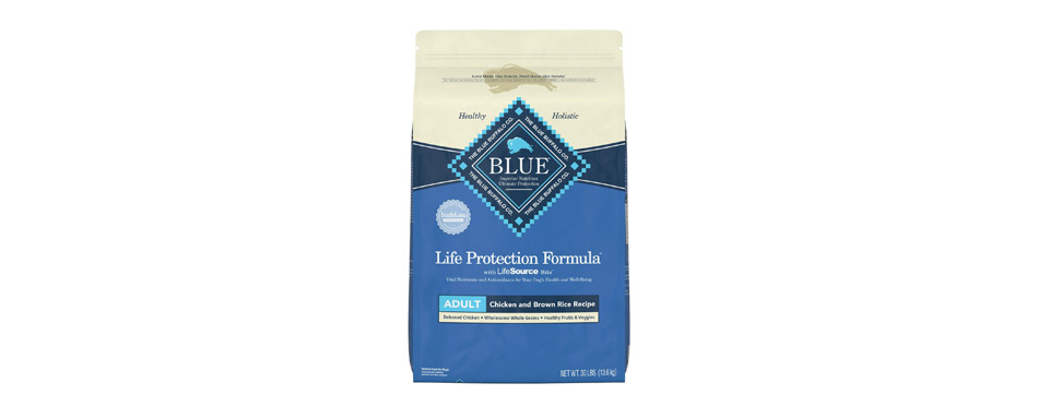 Best for Healthy Immune System: Blue Buffalo Life Protection Formula Dry Dog Food