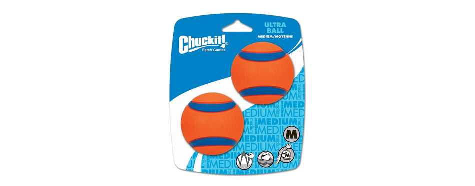 Best Fetch Training Toy: Chuckit! Ultra Ball