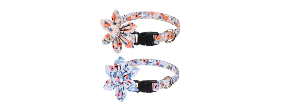 Faleela Breakaway Dog Collar with Bells