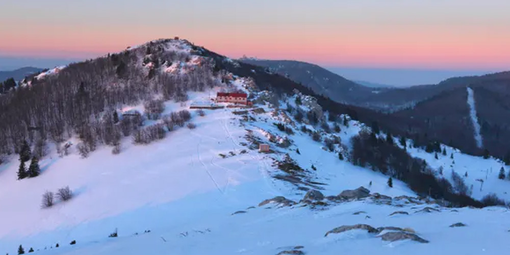 Large Dog Saves a Stranded and Injured Hiker on Velebit Mountain Range