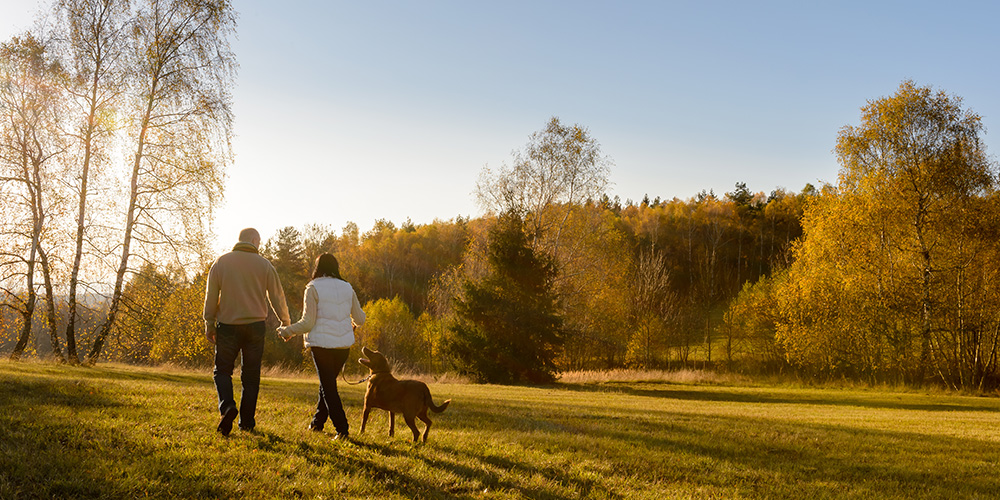 New Law Passed in Spain Will Ensure Pets Are Seen as Legal Family Members