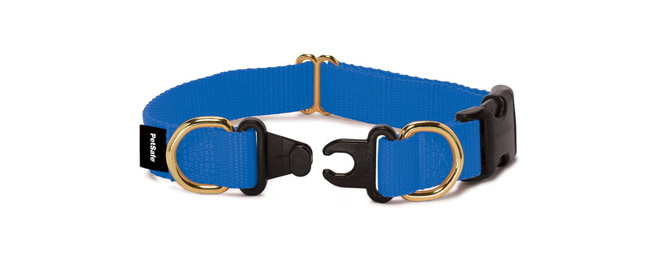 Petsafe KeepSafe Break-Away Collar