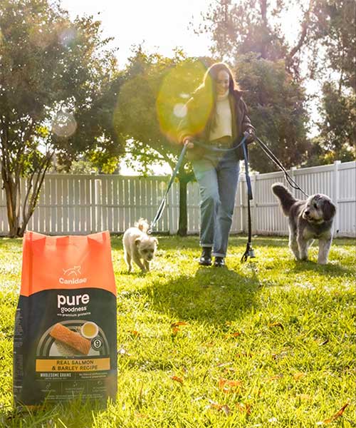 Woman in a backyard holding two dogs on the leash, bag of Canidae Pure food sitting in the grass in front of them