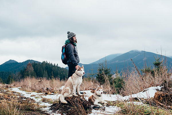 female hiker with siberian husky dogs in mountains looking at beautiful view