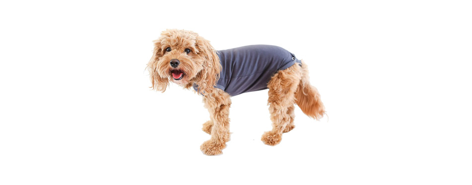 BellyGuard Dog Recovery Onesie 