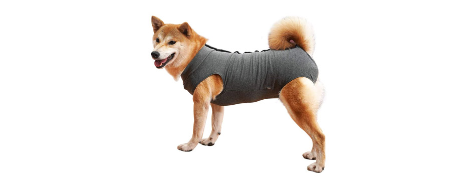 Dotoner Dog Surgical Suit 