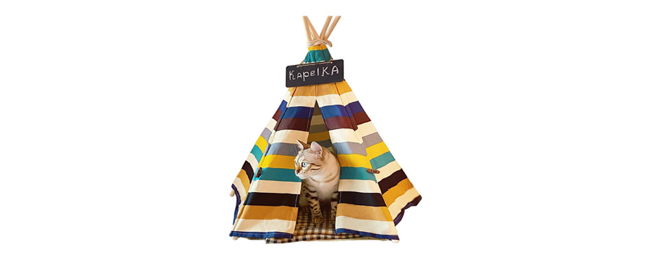 Best Indoor Cat Tent: Little Dove Pet Teepee