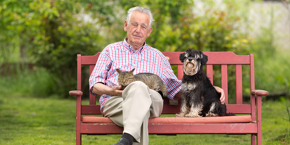 New-Study-Reveals-How-Your-Pet-Could-Slow-Down-Brain-Aging