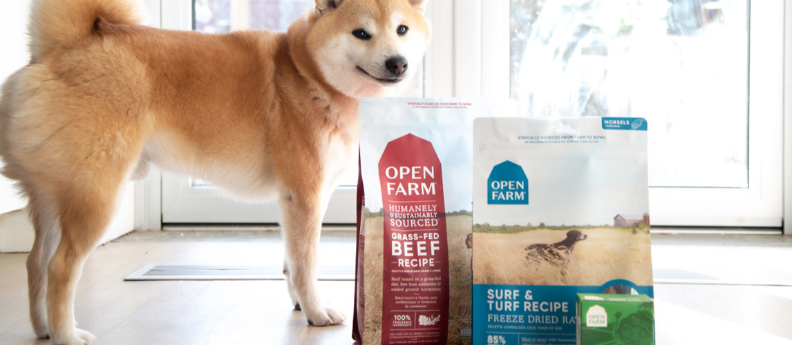 Open-Farm-Dog-Food-Review