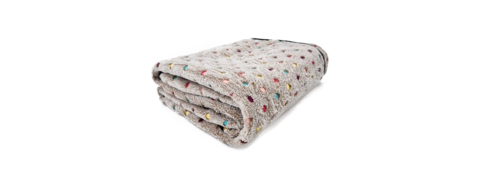 PAWZ Road Pet Dog Blanket 