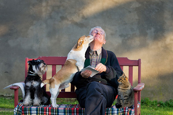 Senior man with dogs and cat on his lap on bench