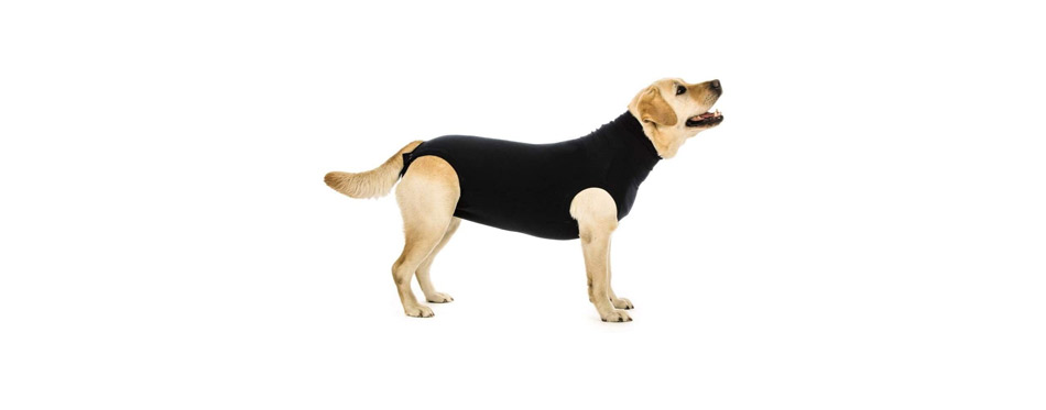 Suitical Recovery Suit for Dogs