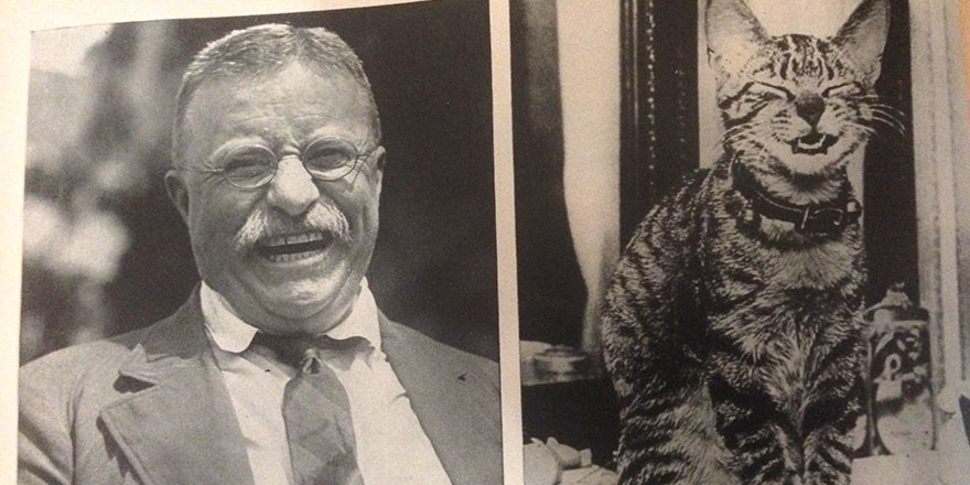 Theodore Roosevelt and Smiling Cat