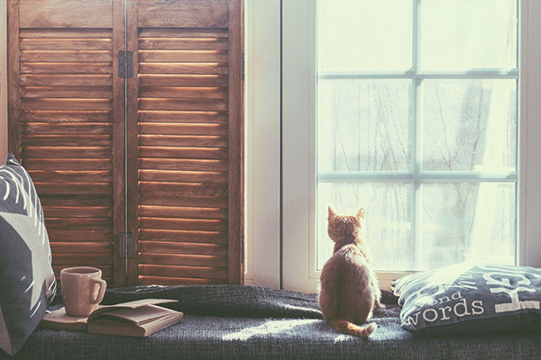 Warm and cozy window seat with cushions and a opened book, light through vintage shutters, rustic style home decor.