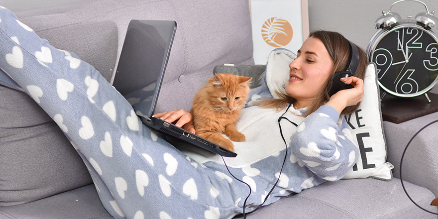 Young caucasian brunette businesswoman working at home using laptop while caressing pet red cat