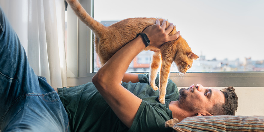 young man lying under the window takes a tabby cat in his arms and brings it to his face to kiss him