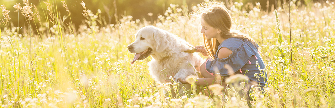 Animal Lovers Raise Concerns About New Utah Animal Welfare Bill