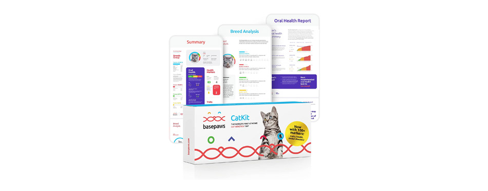 Basepaws Cat DNA Test