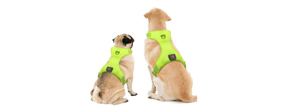 Ezier Glowing LED Dog Harness