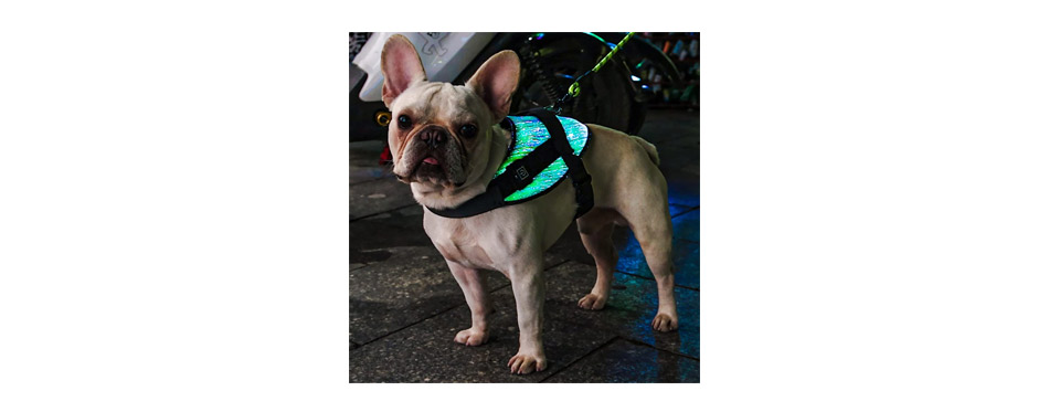 Full Surface Illuminated LED Fibre-Optic Dog Harness