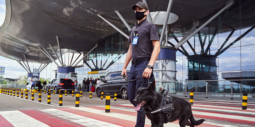 Male security worker with police dog