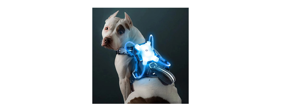 WINSEE LED Dog Harness 