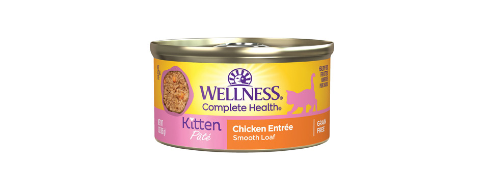 Wellness Complete Health Kitten Formula