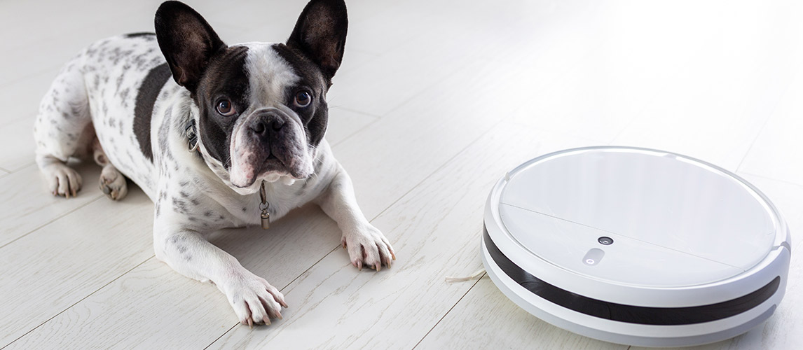 We’ve-Located-the-10-Best-Robot-Vacuums-for-Pet-Hair-–-with-WiFi-Options