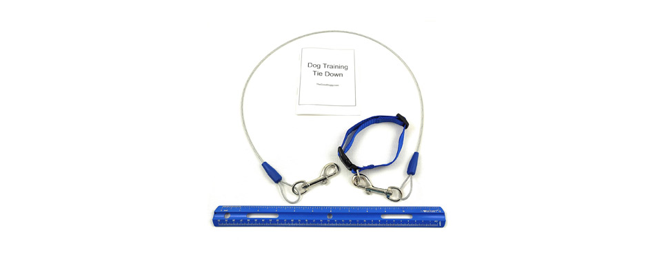Best Indoor Tie-Down: Wonder Dog Training LLC Tie Out Cable