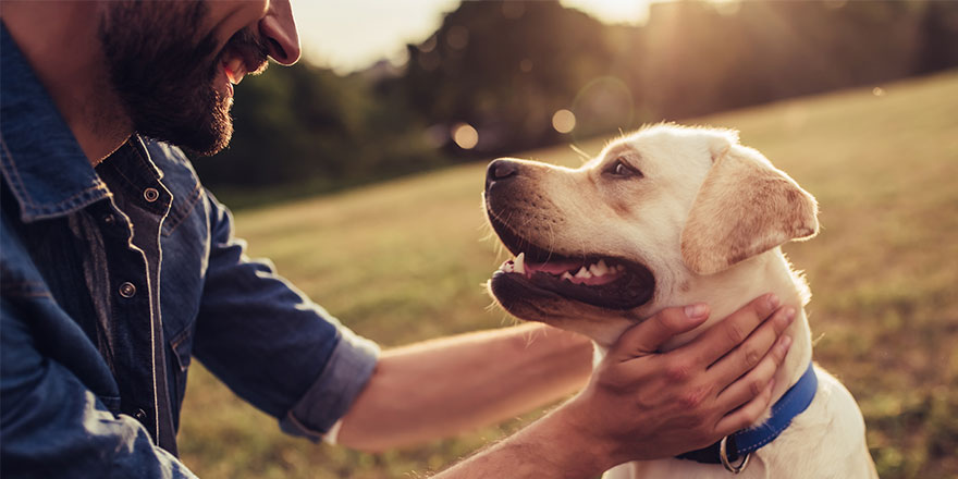 handsome young man with labrador