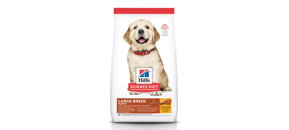 Hill's Science Diet Puppy Large Breed Chicken Meal & Oat Recipe