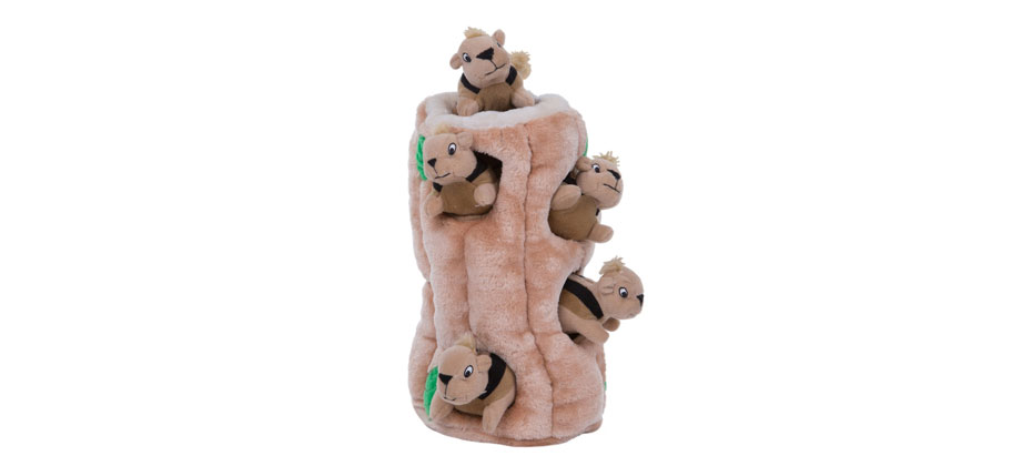 Outward Hound Hide A Squirrel Squeaky Puzzle Toy