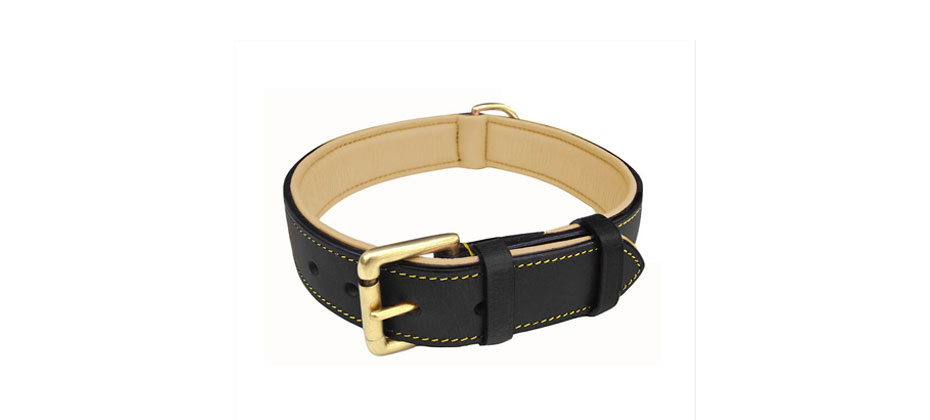 Soft Touch Collars Leather Dog Collar