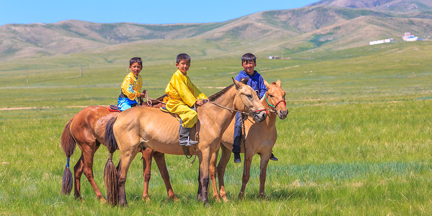 The horse's breed is purported to be largely unchanged since the time of Genghis Khan