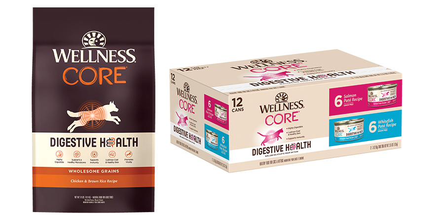 Bag of Wellness Core Digestive Health dry food next to 12 can box of wet food option.