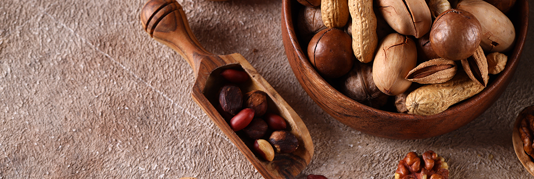 A Tough Nut to Crack – Is it Really Safe to Feed Pecans to Your Dog?