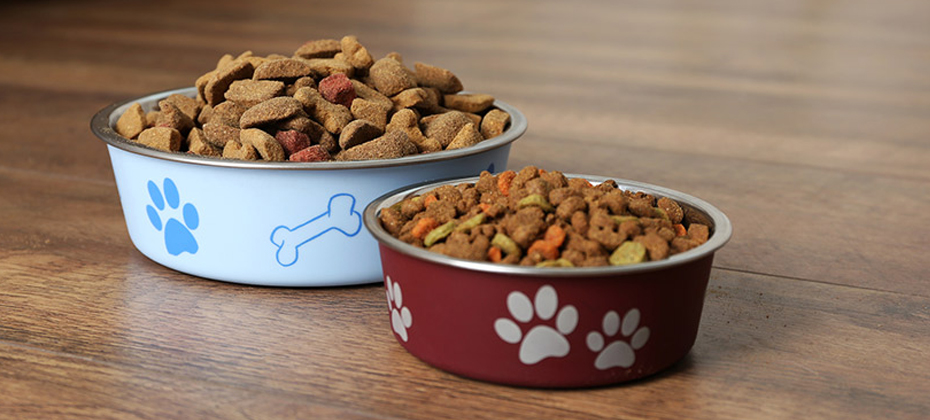 Dog Food Bowls