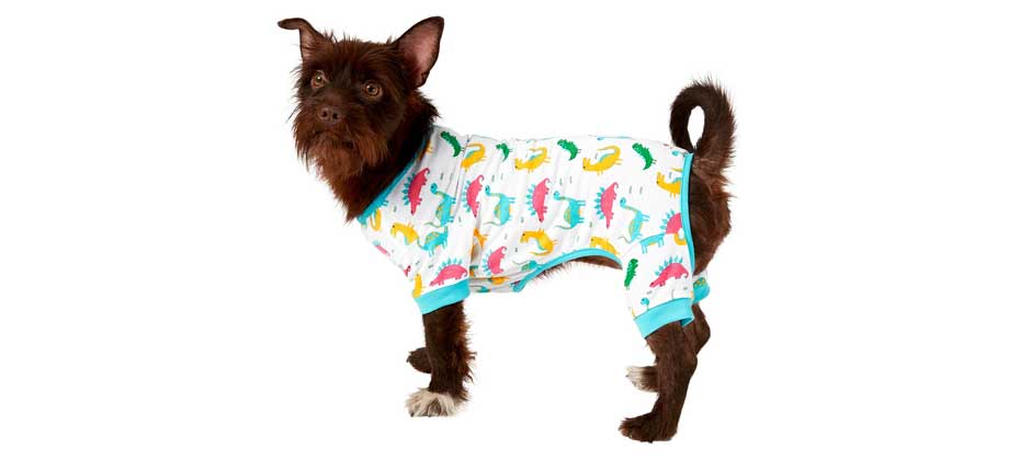 Frisco Dinosaur Print Dog & Cat Jersey PJs