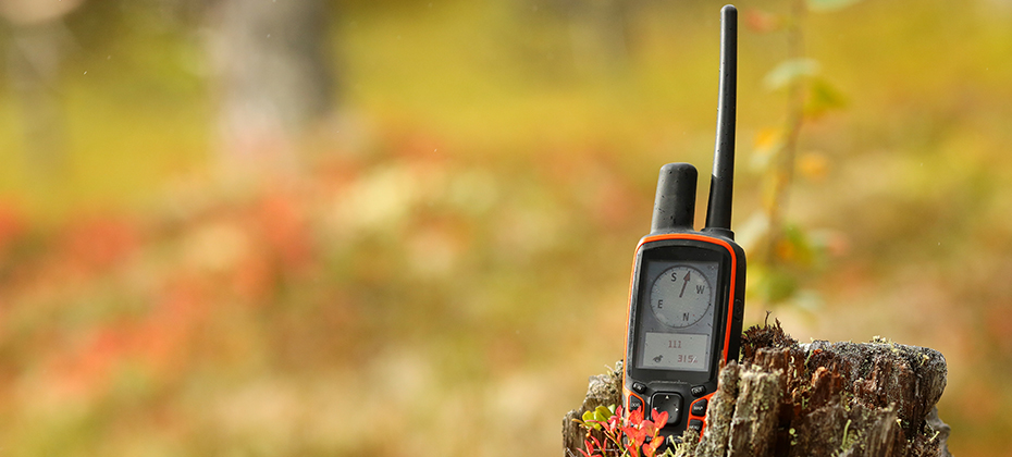 GPS for the dog helping to find the dog in the forest .