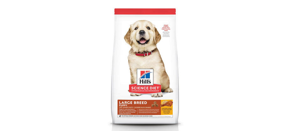 Hill's Science Diet Puppy Large Breed Chicken Meal & Oat Recipe