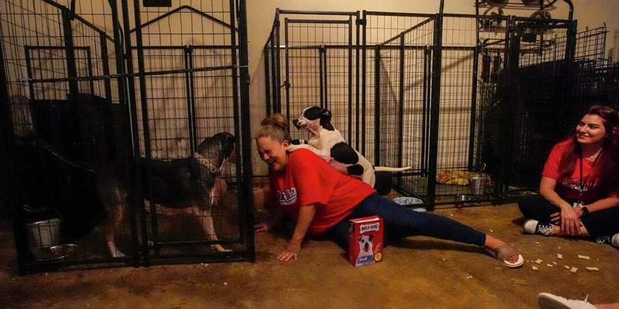 Kali Cabrera, founder of Spring Branch Rescue is pounced on by Mango, while chatting with Tatiana Cadena in her garage at her home, where she houses her rescues on Tuesday, May 17, 2022 in Richmond. 