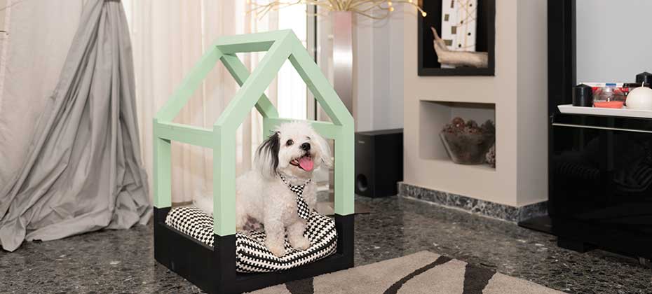 Lifestyle shot of modern wooden dog house