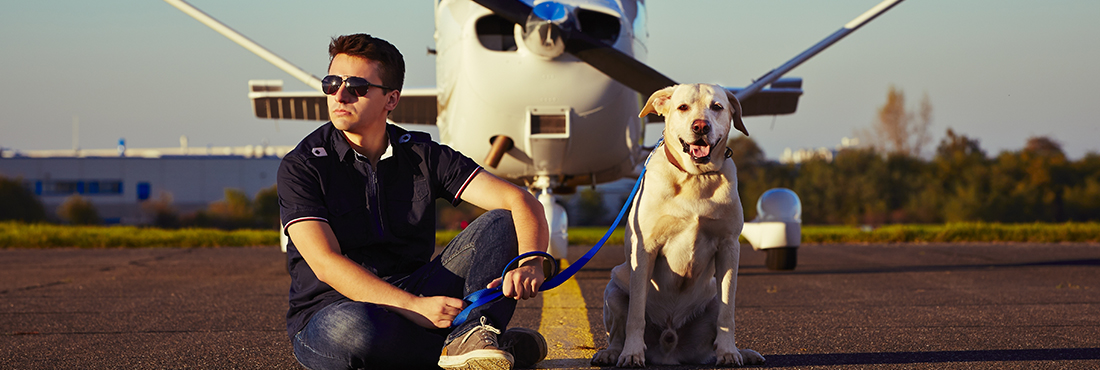 My Pet Needs That News - Wyoming Pilot Rescues Dogs By Flying Them to Utah