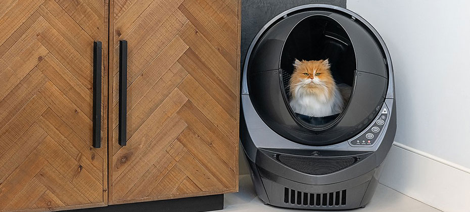 Orange long-haired cat in a self-cleaning litter box.