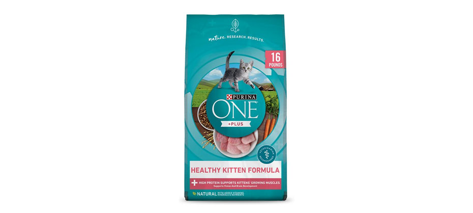 Budget Pick: Purina ONE Healthy Kitten Formula Dry Cat Food